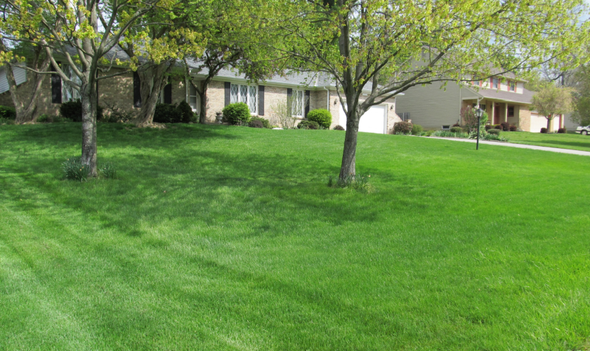 Lawn Care Service in Lithopolis, OH