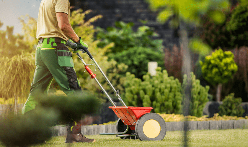 Bexley Lawn Seeding Services | Weed Busters of Ohio