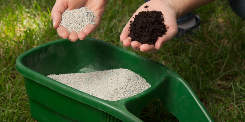 The Importance of Fertilization Treatment During the Summer