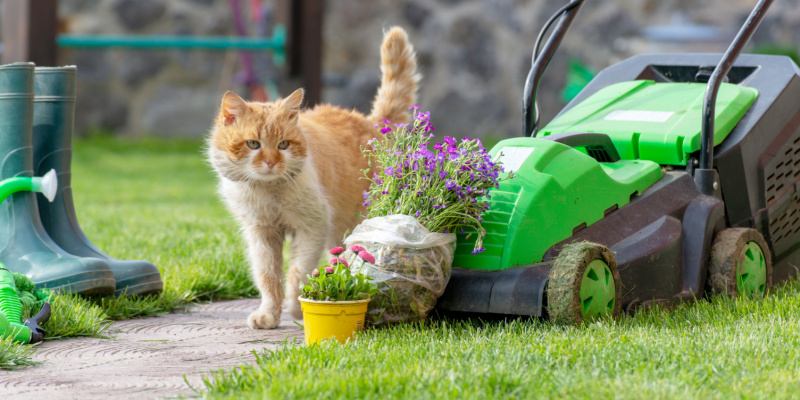 Lawn Care Services in Pickerington and the Surrounding Area