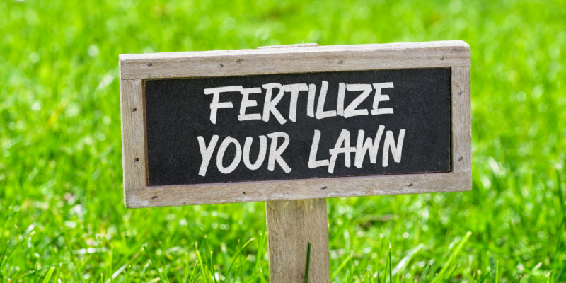 How Often Should I Fertilize My Lawn?