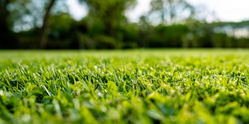 How Does Lawn Aeration Work?