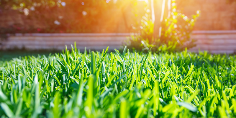 Lawn Aeration Treatments for Canal Winchester Homeowners