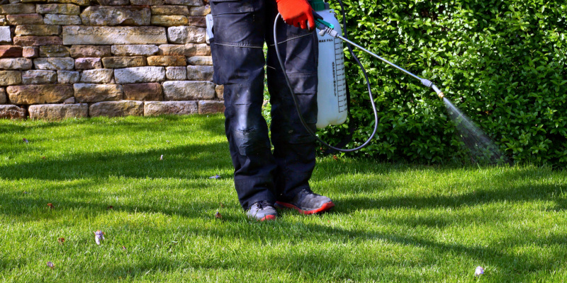 Yard Pest Control Services in the Columbus, OH Area