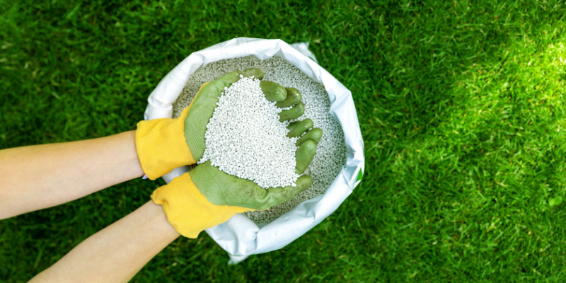 How Many Times Per Year Should I Fertilize My Lawn?