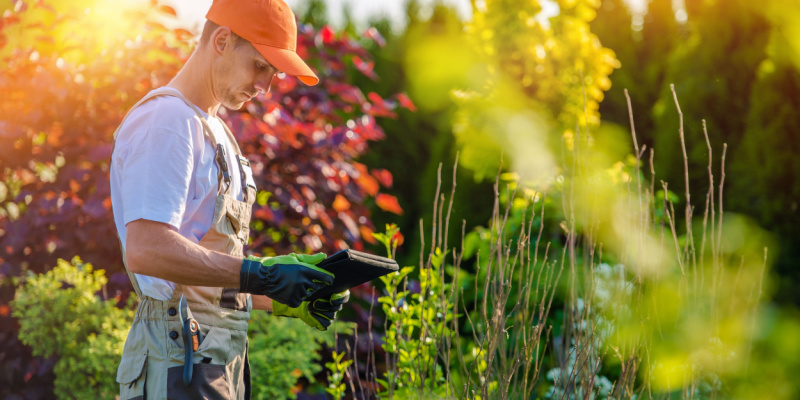 Professional Lawn Care in Reynoldsburg, OH