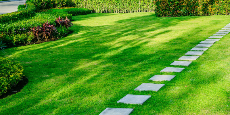 Top Choice for Lawn Care Maintenance in Reynoldsburg, OH