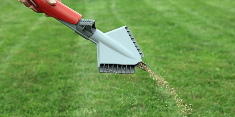 Lawn Seeding Services in Canal Winchester, OH