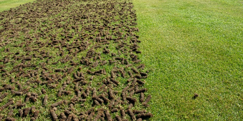 When is the Best Time of Year for Lawn Aeration Treatment?