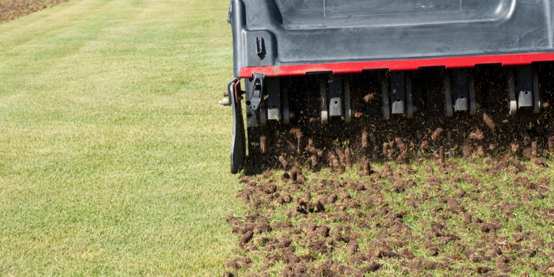 Professional Lawn Aeration Services in Reynoldsburg, OH