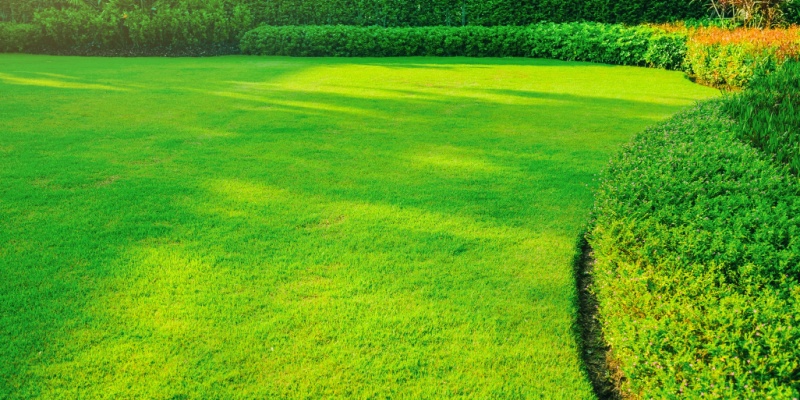 Best Professional Lawn Care Services in New Albany OH