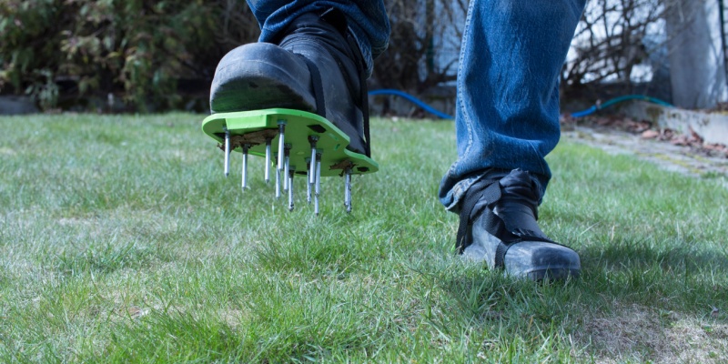 Lawn Aeration Treatment in New Albany OH