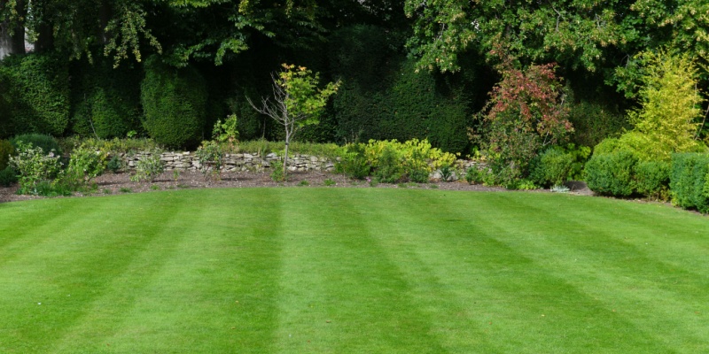 Best Choice for Professional Lawn Care in New Albany, OH