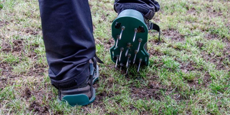 When is the Best Time of the Year for Lawn Aeration Treatment?