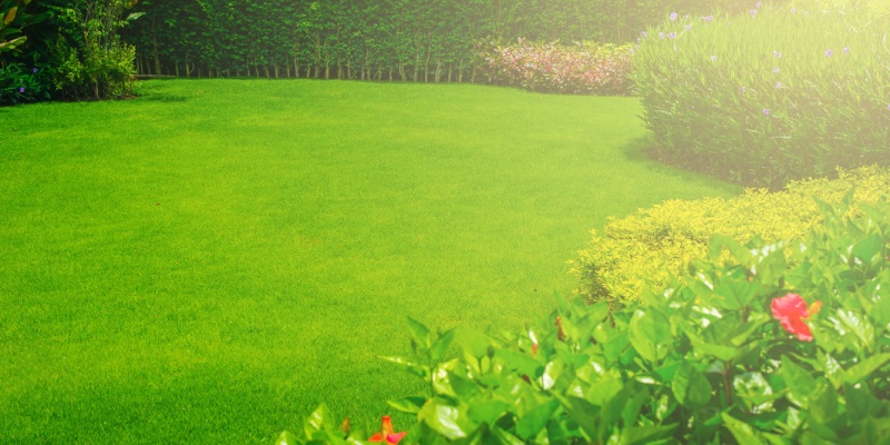 Who Is the Best Company to Maintain My Lawn in Pickerington, OH?