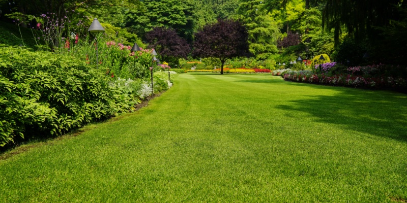 Maintaining a Weed-Free Yard in Columbus, OH