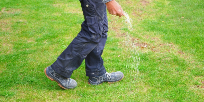 The Role of Lawn Fertilization in Weed Prevention for Reynoldsburg, OH Yards