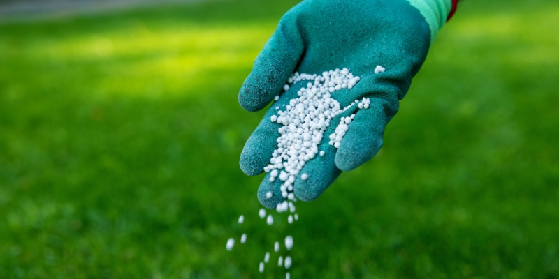The Truth About Lawn Fertilization: When and How to Feed Your Grass This Summer